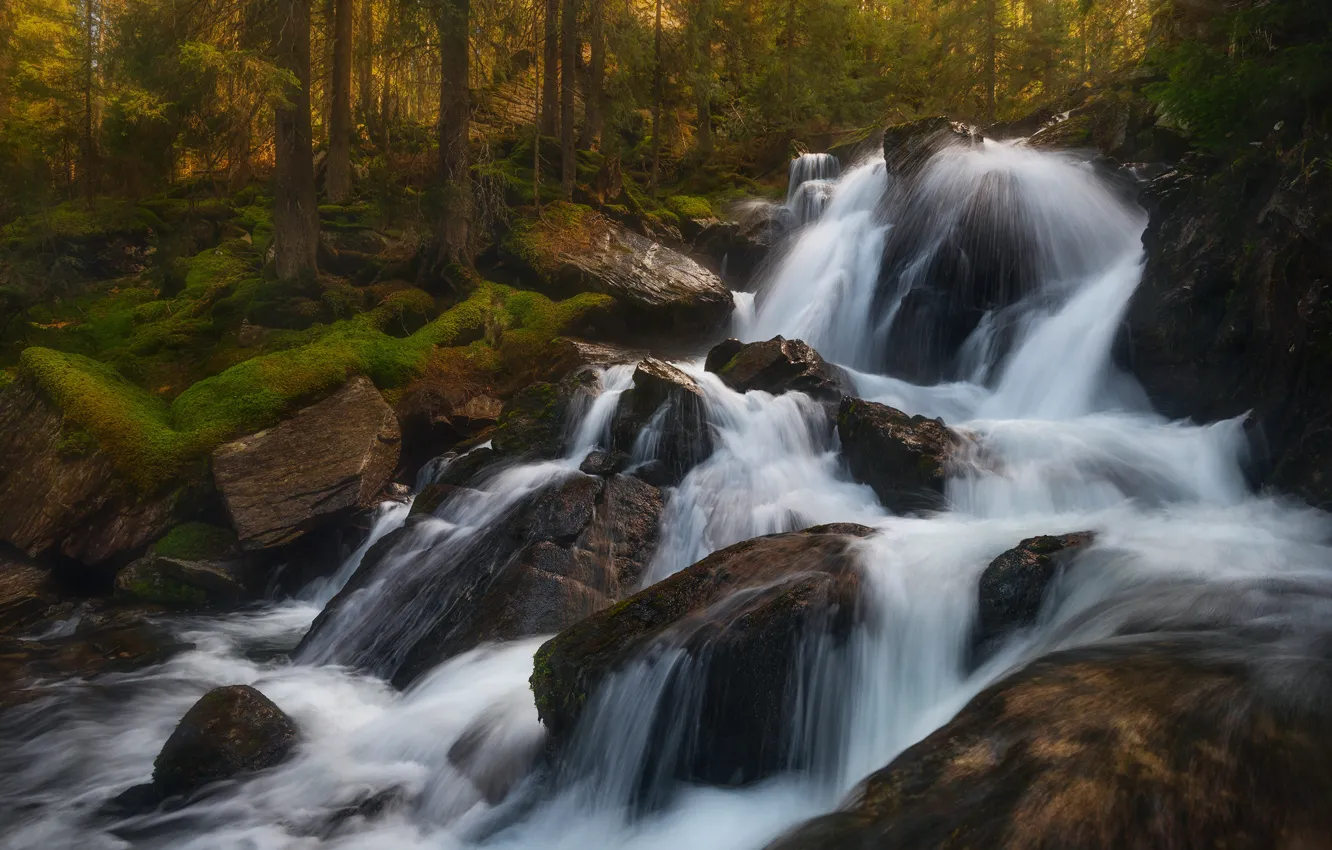Photo wallpaper autumn, forest, nature, stream, stones, waterfall, cascade