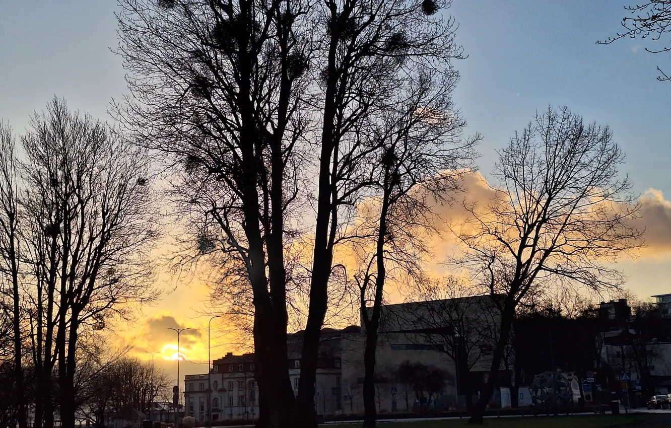 Photo wallpaper Holy, December, East, the sun