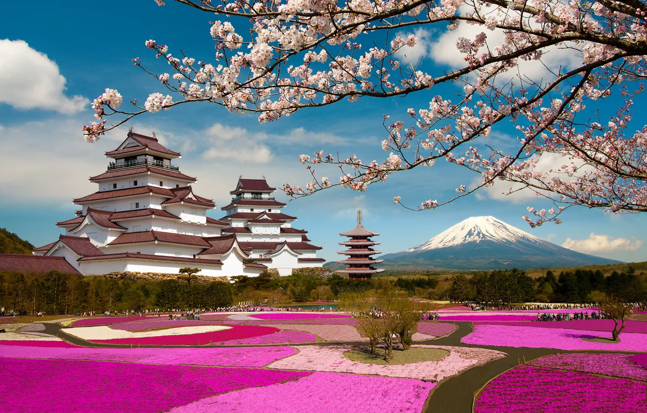 Photo wallpaper branches, Park, castle, the volcano, Japan, Sakura, Japan, flowering