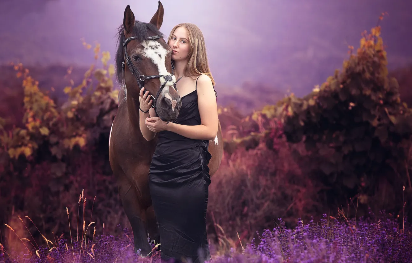 Photo wallpaper summer, girl, horse