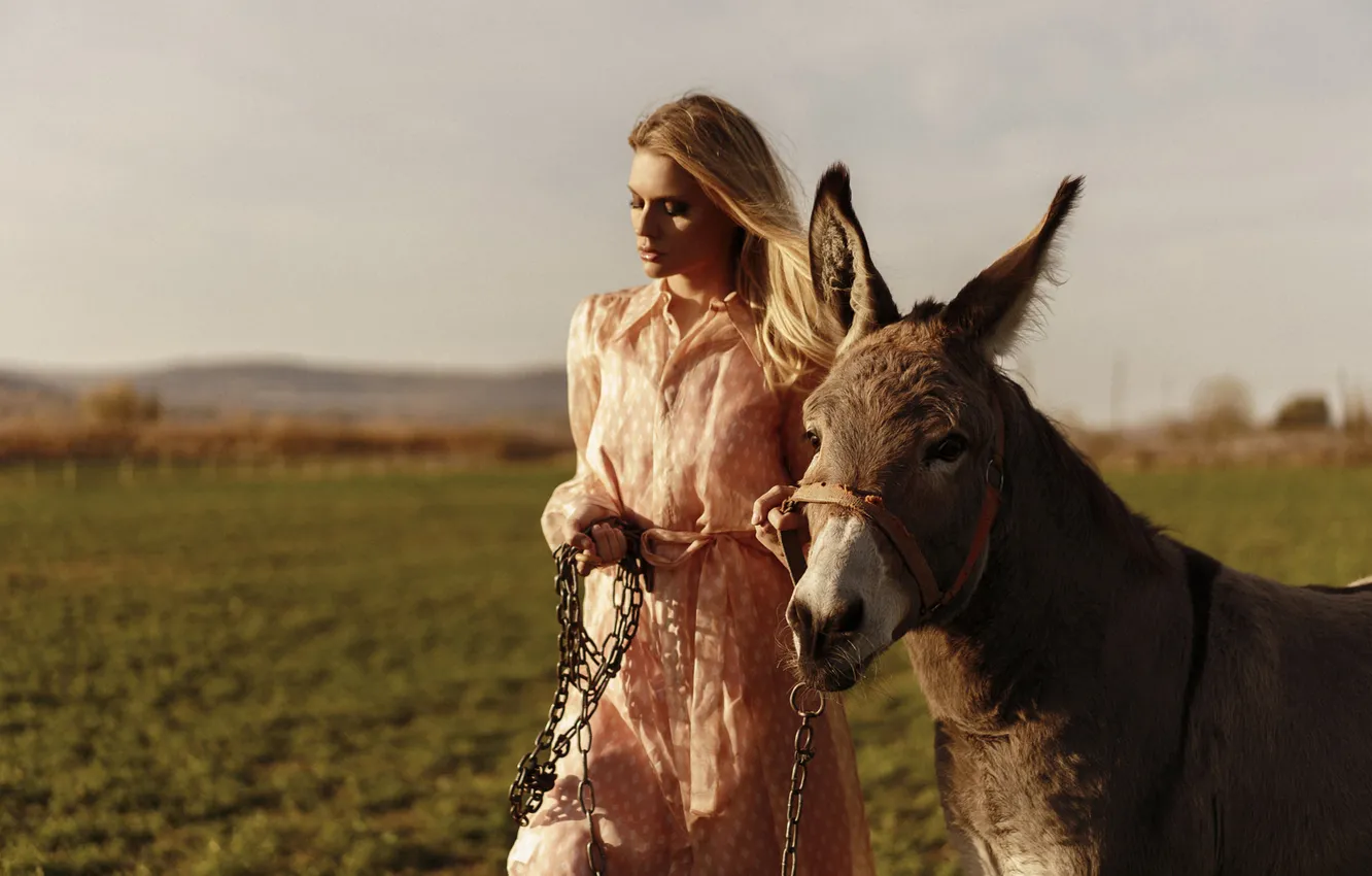 Photo wallpaper girl, blonde, Ass, donkey, donkey