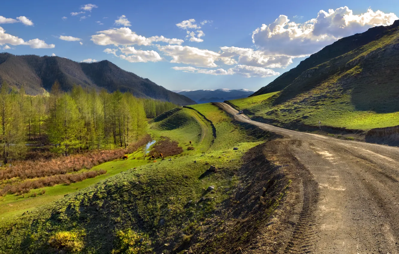 Photo wallpaper road, landscape, green grass, perspective, The Altai Mountains, Venturism, journey Mobibu, mobile bath Mobiba