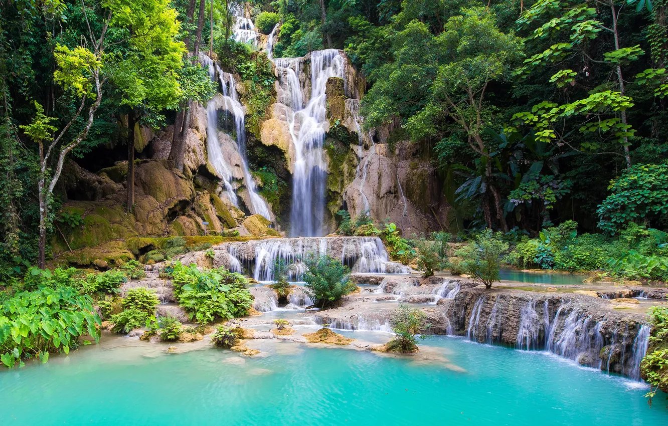 Photo wallpaper forest, trees, stones, rocks, waterfall, Laos, Laos, Kouangxi Water Fall