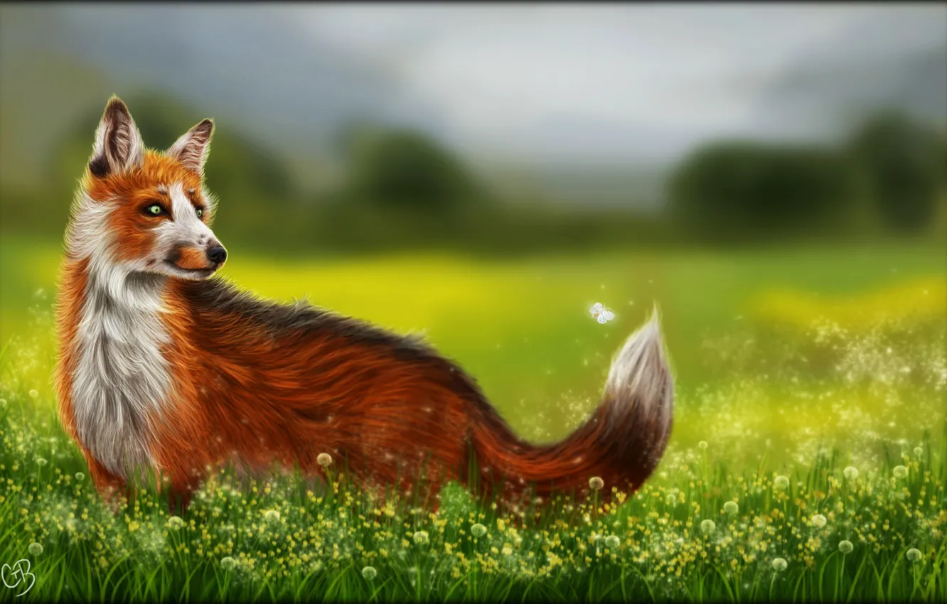 Photo wallpaper summer, flowers, nature, butterfly, Fox