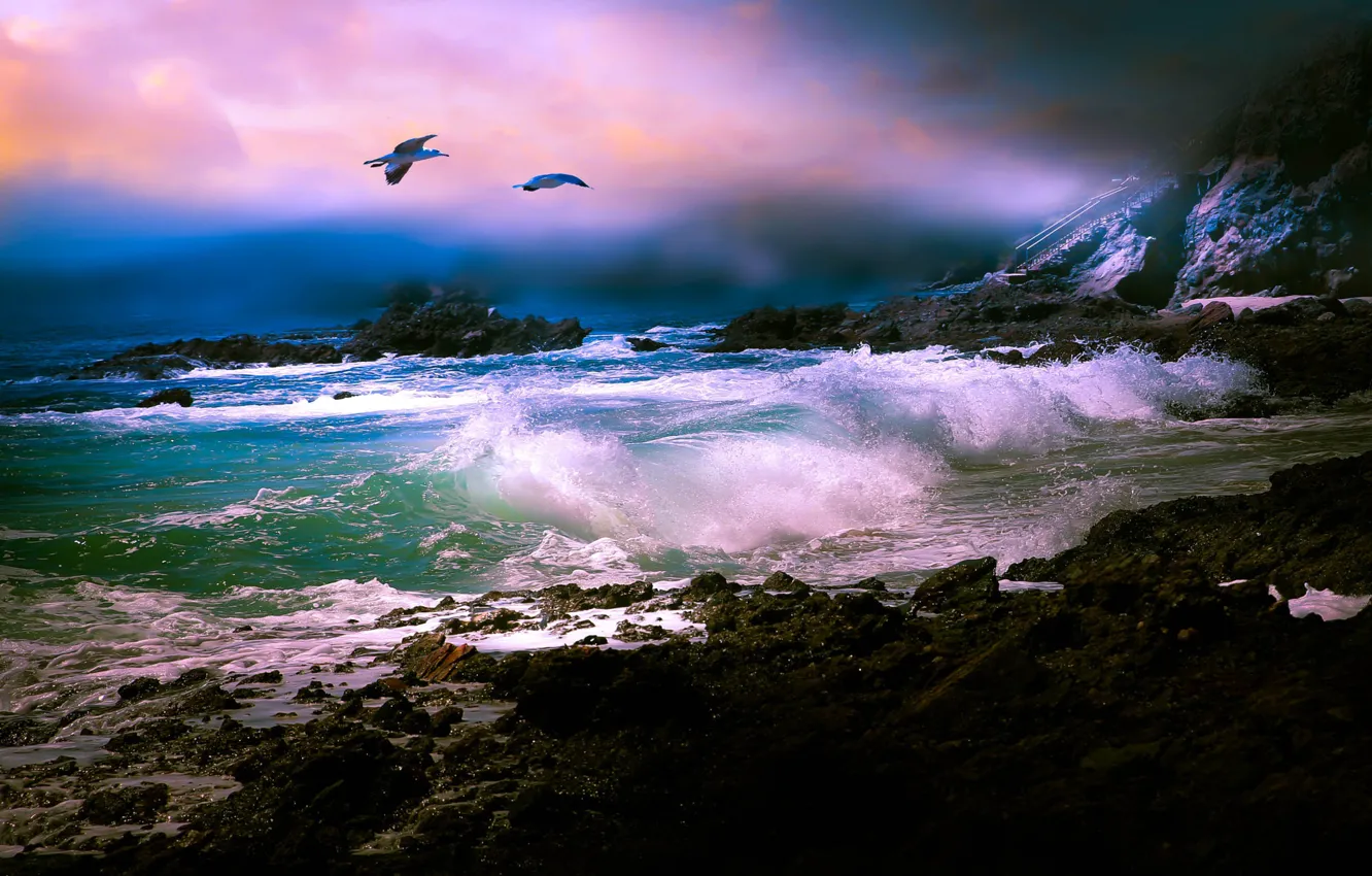 Photo wallpaper sea, wave, bird, seagulls