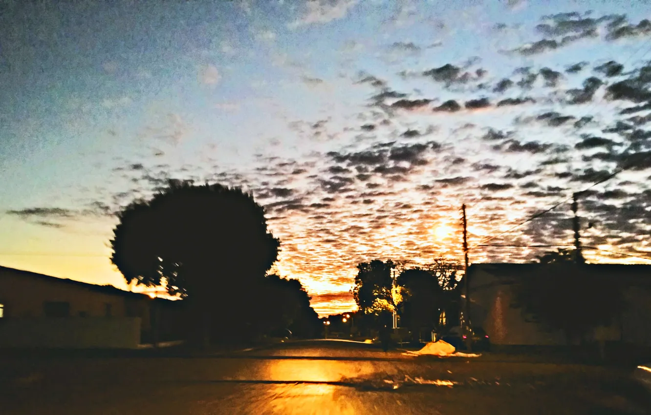 Photo wallpaper city, end, trees, Day, clouds, The, streets, sunlight