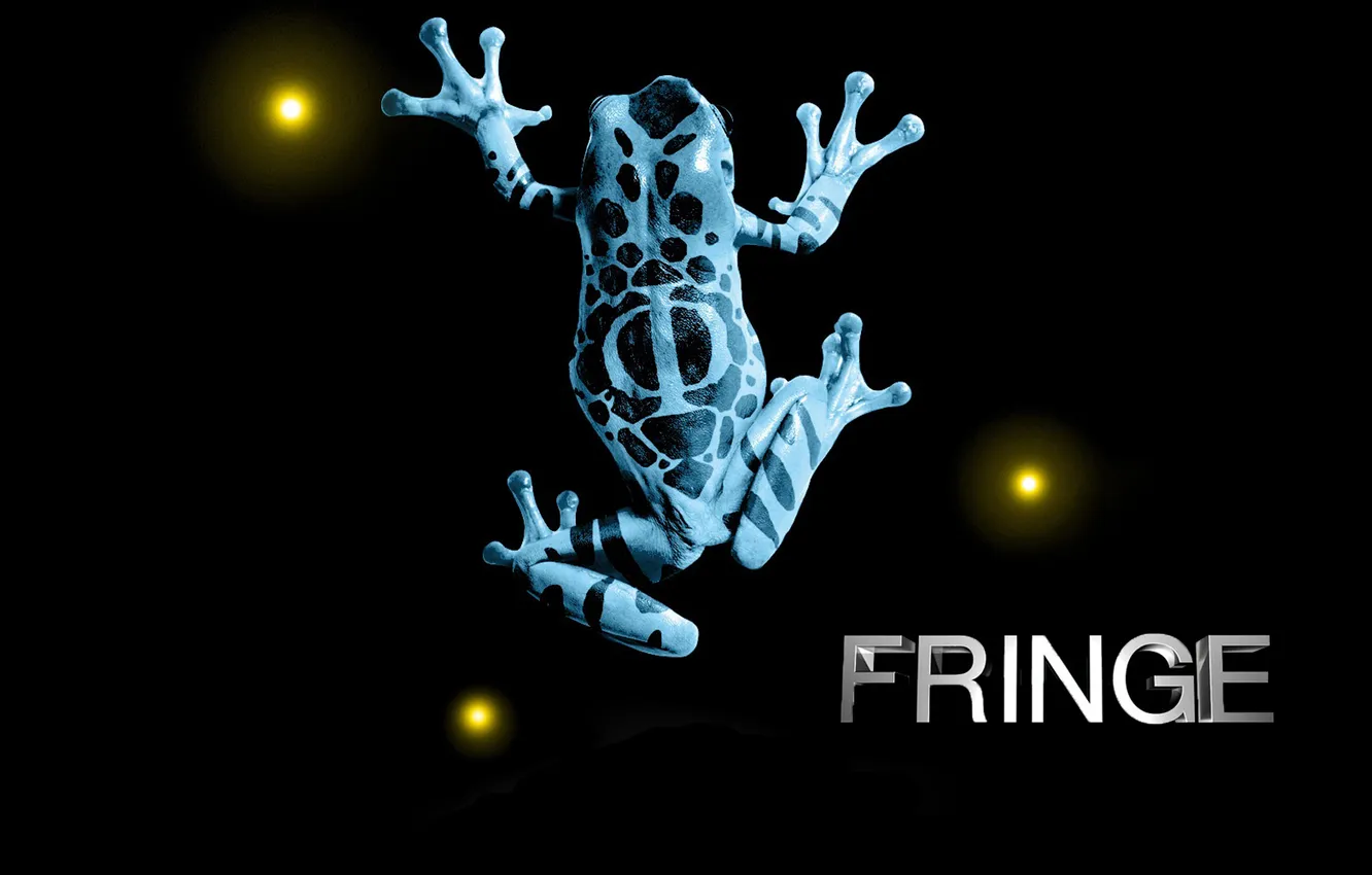 Photo wallpaper frog, face, fringe, beyond