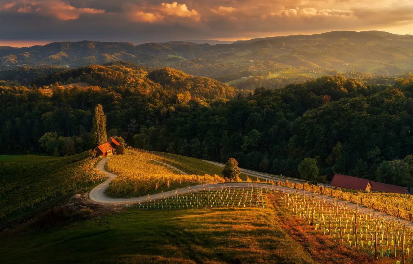 Photo wallpaper road, field, forest, clouds, light, trees, mountains, hills