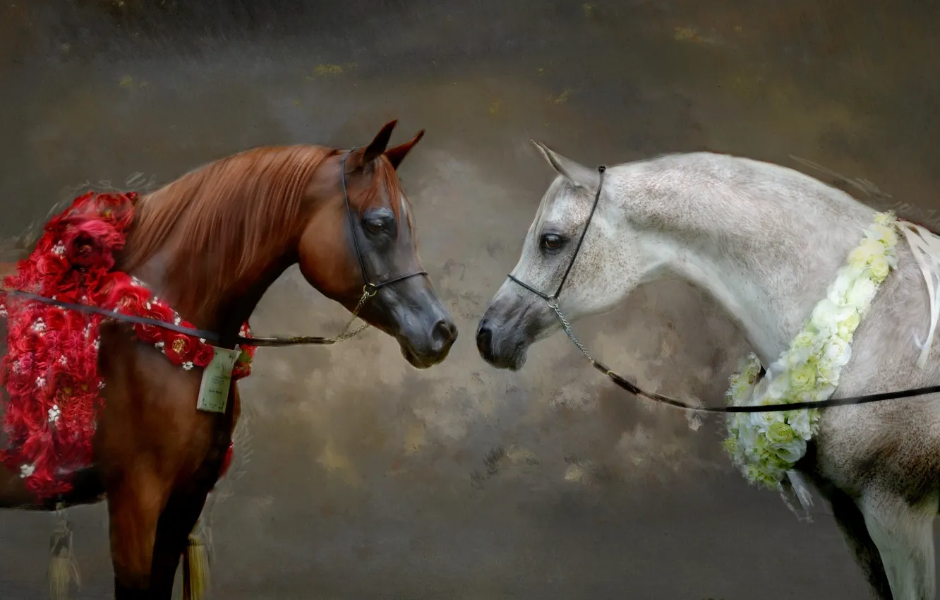 Photo wallpaper white, look, flowers, grey, background, horses, portrait, picture