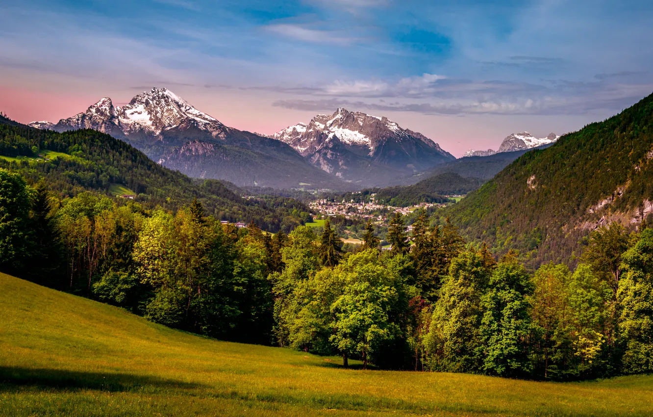 Photo wallpaper house, grass, forest, sky, trees, landscape, nature, clouds