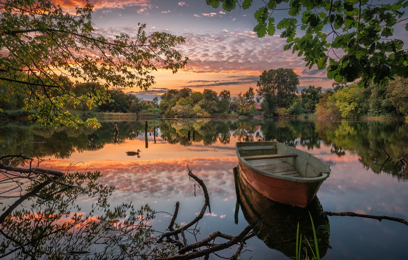 Photo wallpaper trees, branches, lake, pond, reflection, boat, duck