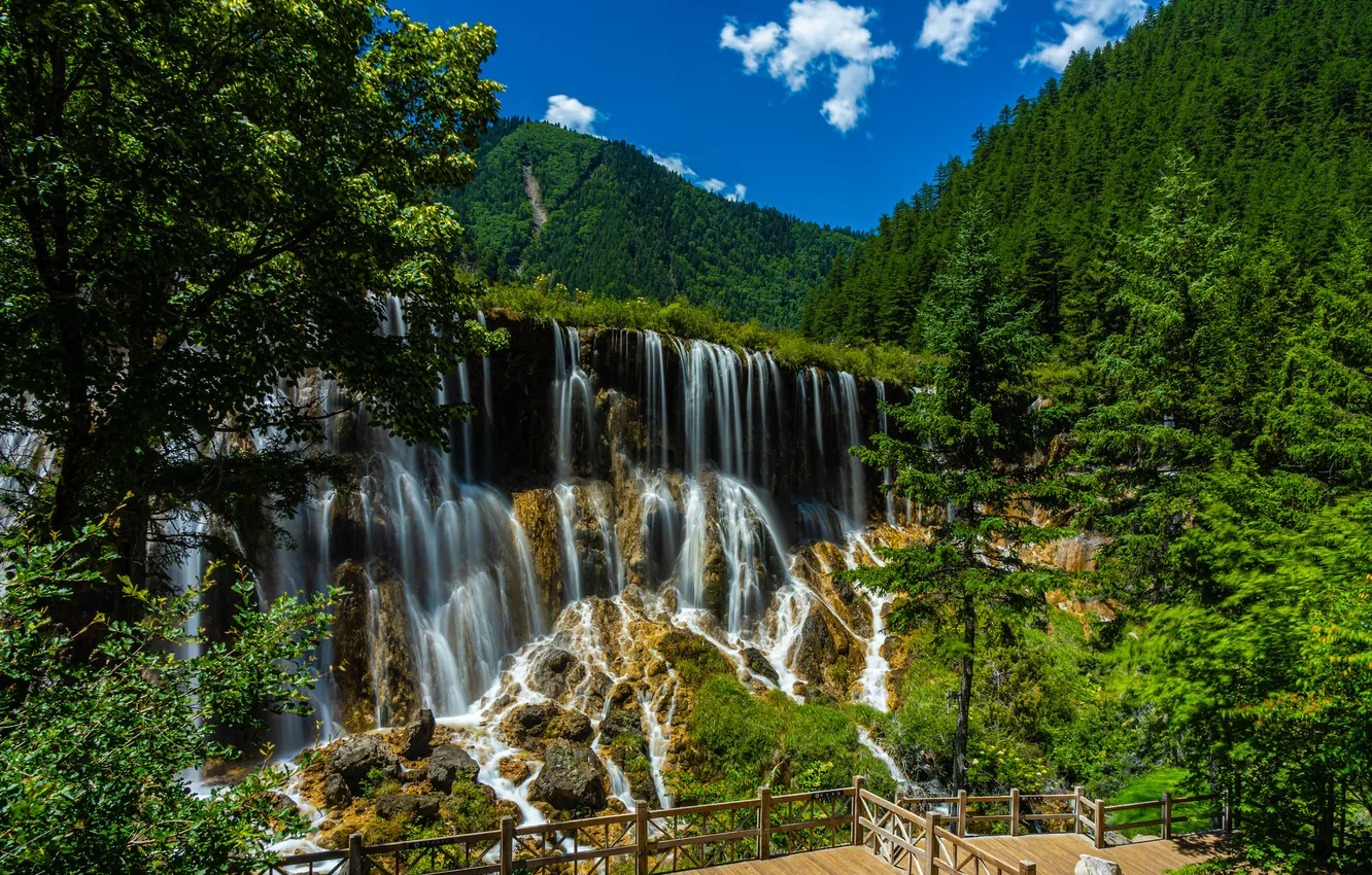 Photo wallpaper forest, nature, waterfall