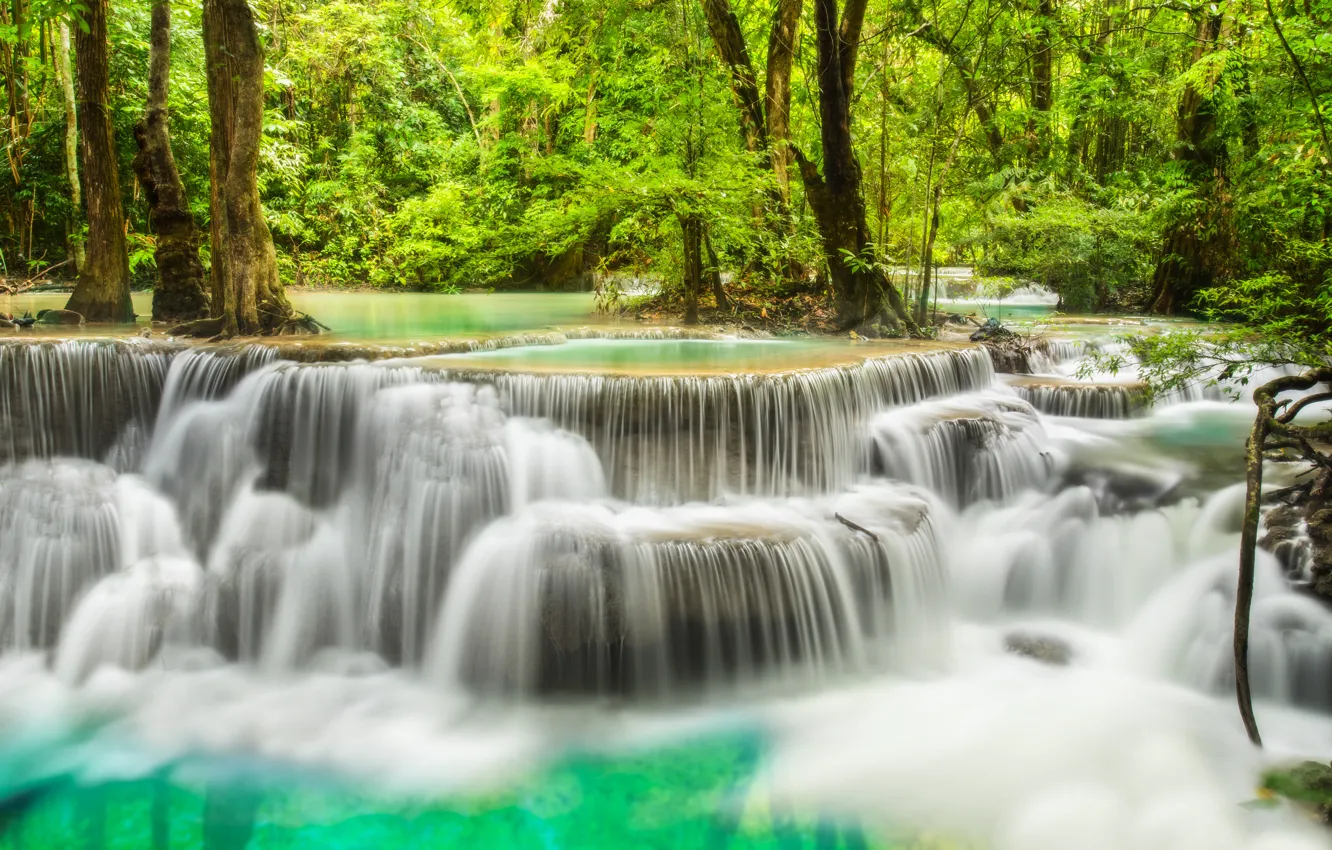 Photo wallpaper forest, river, waterfall, forest, river, landscape, waterfall, emerald