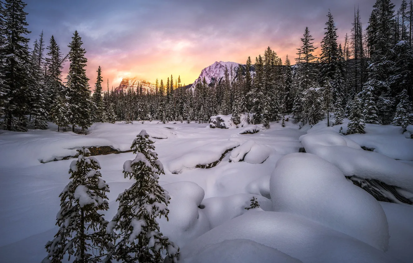 Photo wallpaper winter, forest, the sky, clouds, light, snow, sunset, mountains