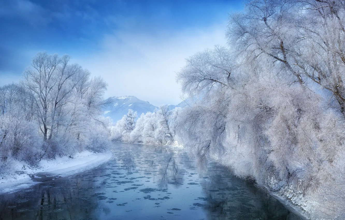 Photo wallpaper winter, frost, forest, the sky, snow, trees, mountains, nature