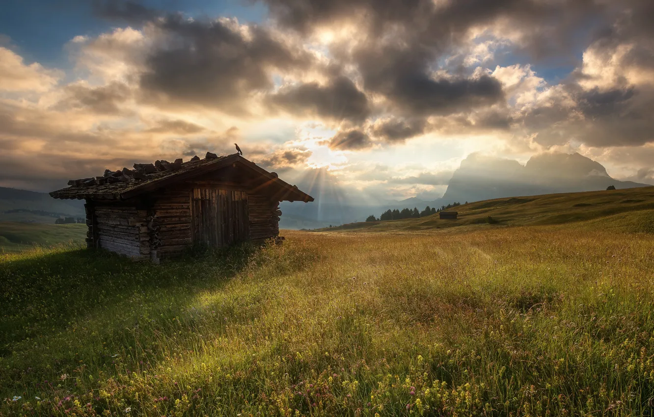 Photo wallpaper the sky, grass, the sun, clouds, rays, light, flowers, mountains