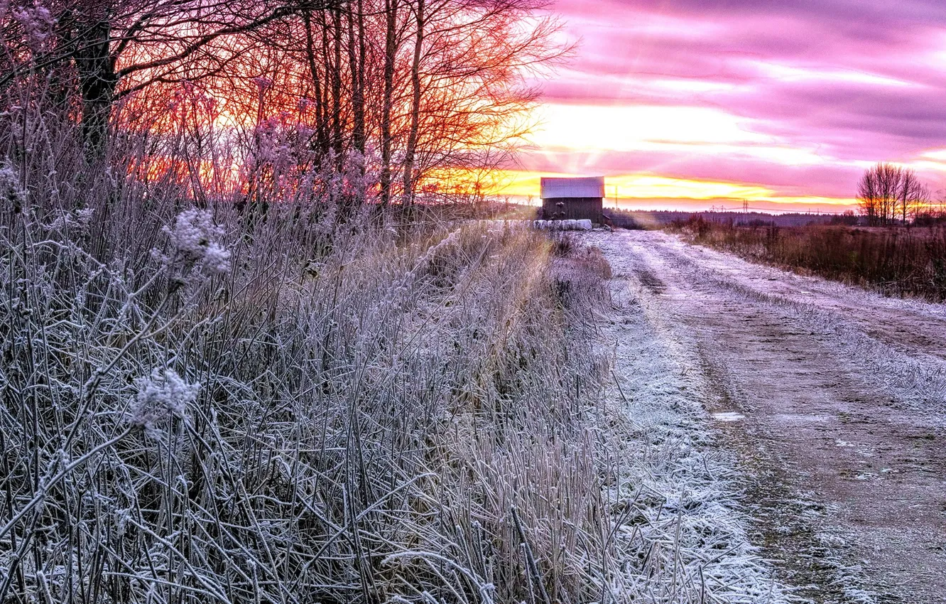 Photo wallpaper winter, frost, road, home