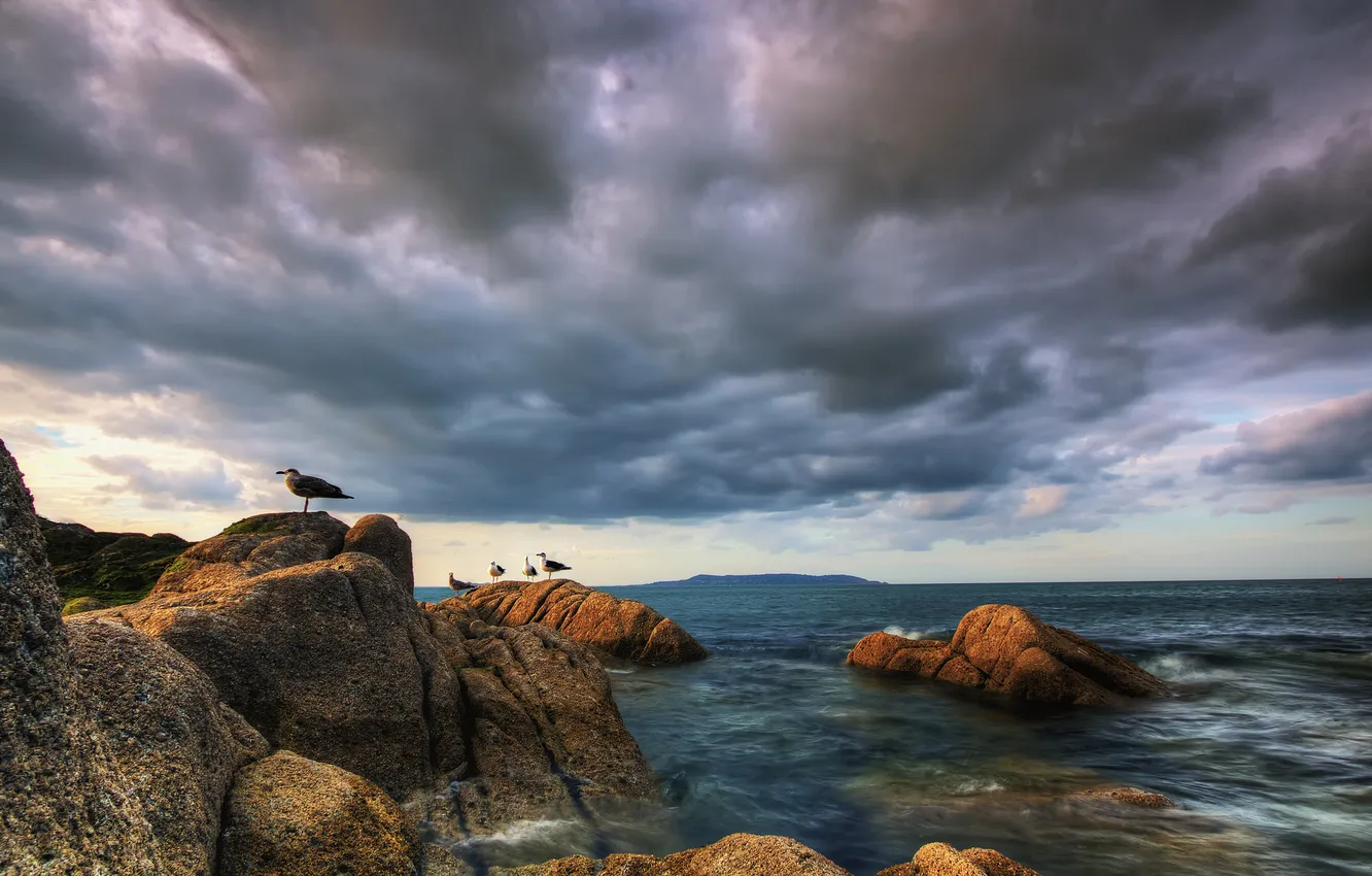 Photo wallpaper the sky, water, clouds, birds, stones, seagulls, Sea, Bay