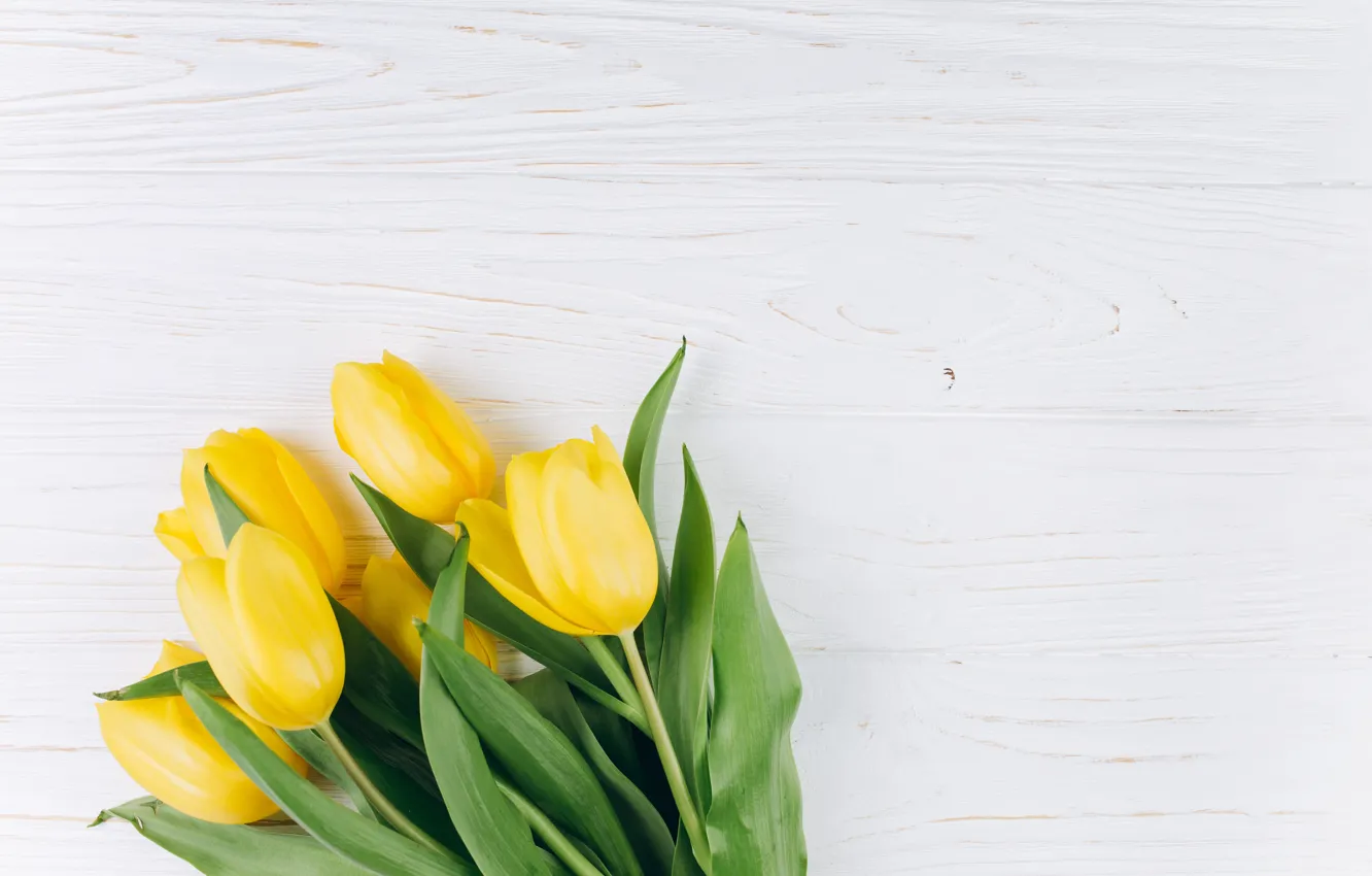 Photo wallpaper flowers, yellow, bouquet, tulips, fresh, yellow, wood, flowers
