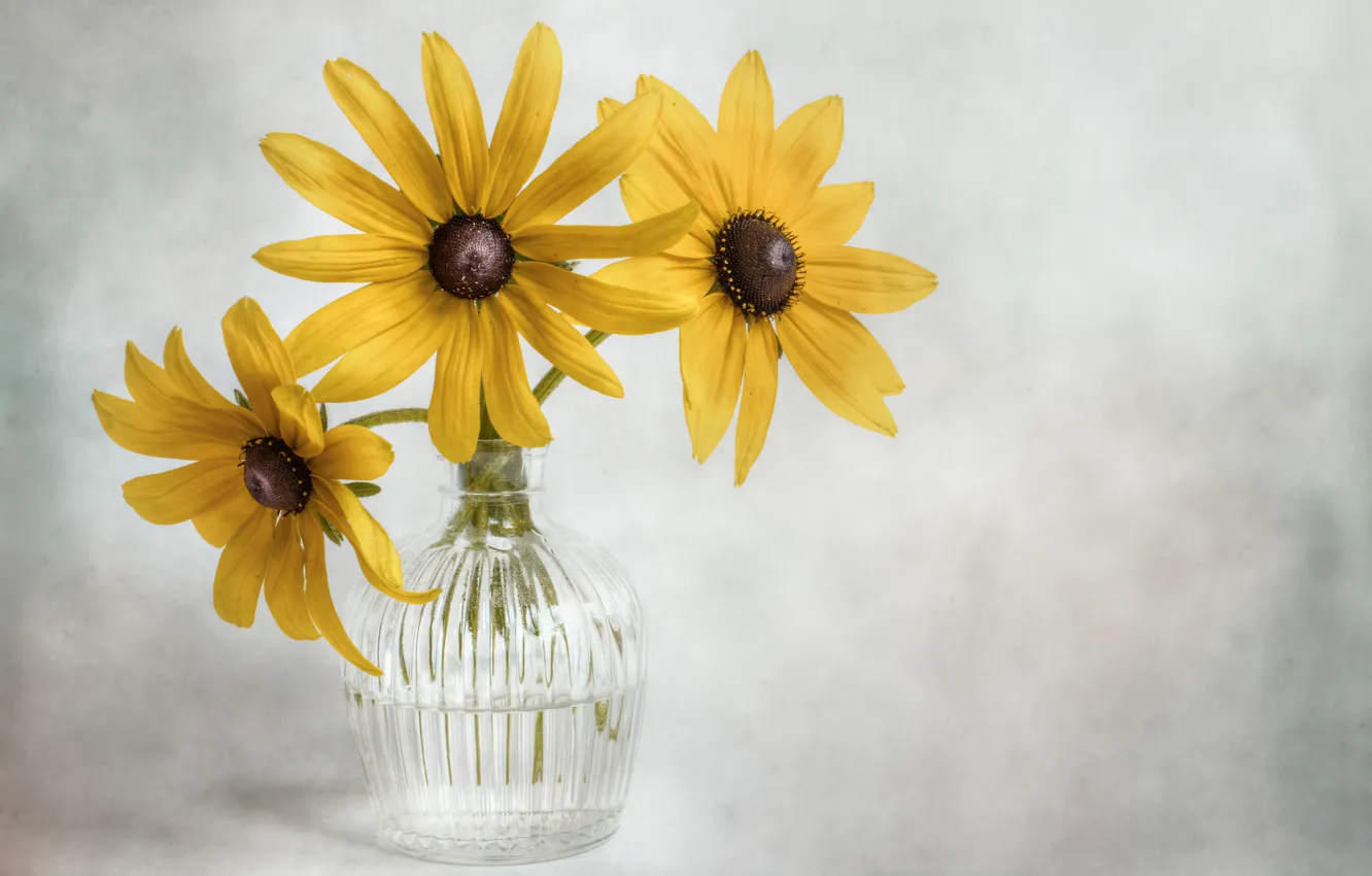 Photo wallpaper flowers, background, vase