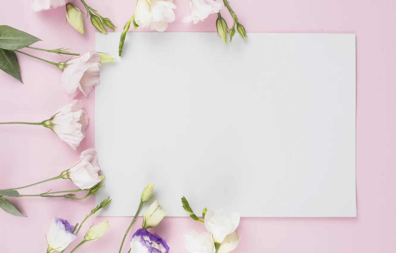 Photo wallpaper flowers, bouquet, white, pink background, flower, decor, eustoma