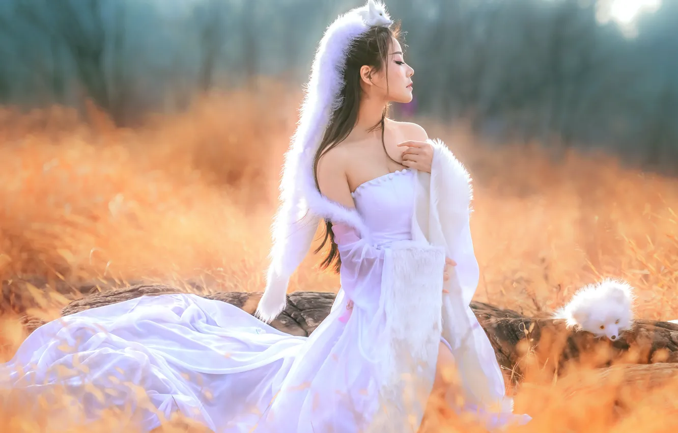 Photo wallpaper girl, nature, pose, style, dress, Fox, outfit, Asian