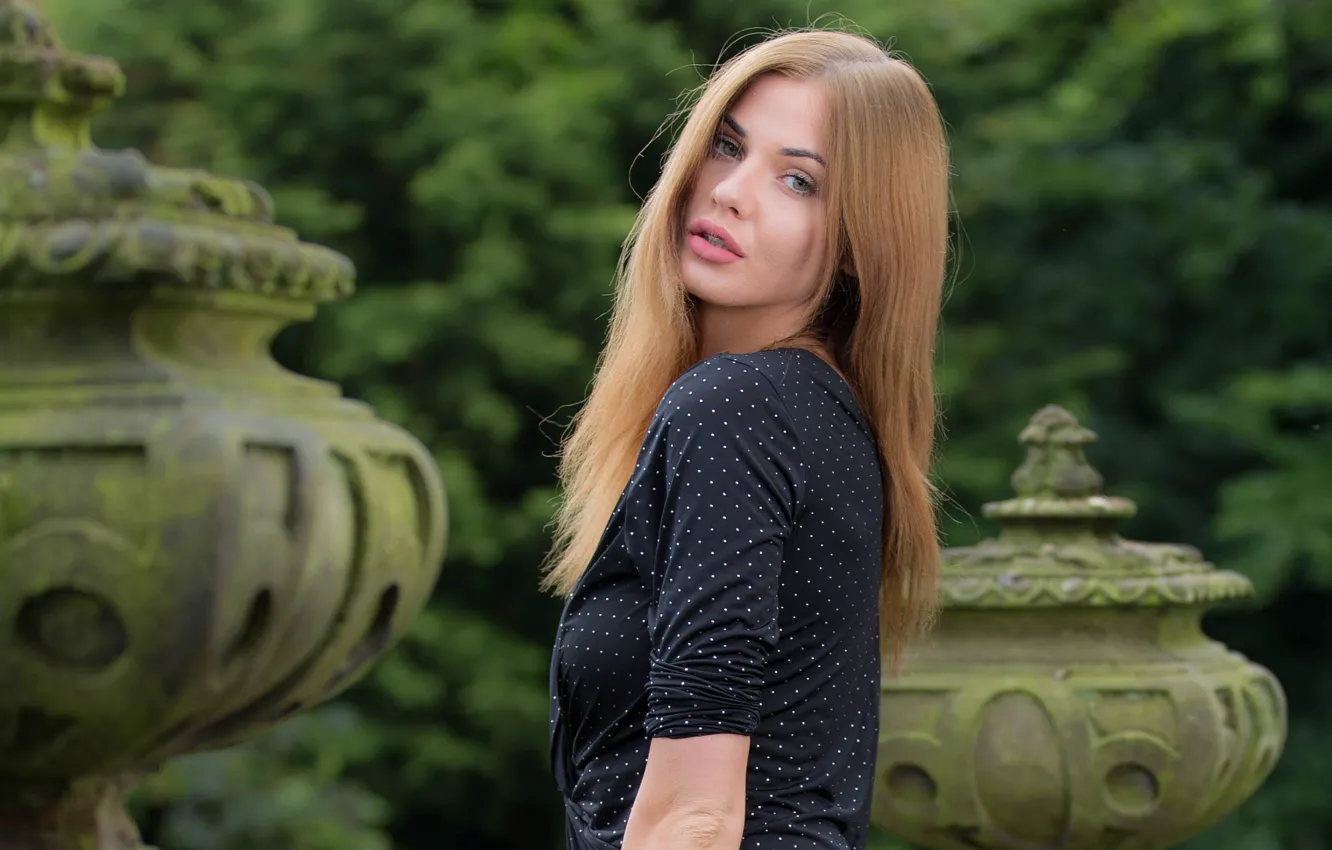 Photo wallpaper look, girl, sweetheart, hair, dress