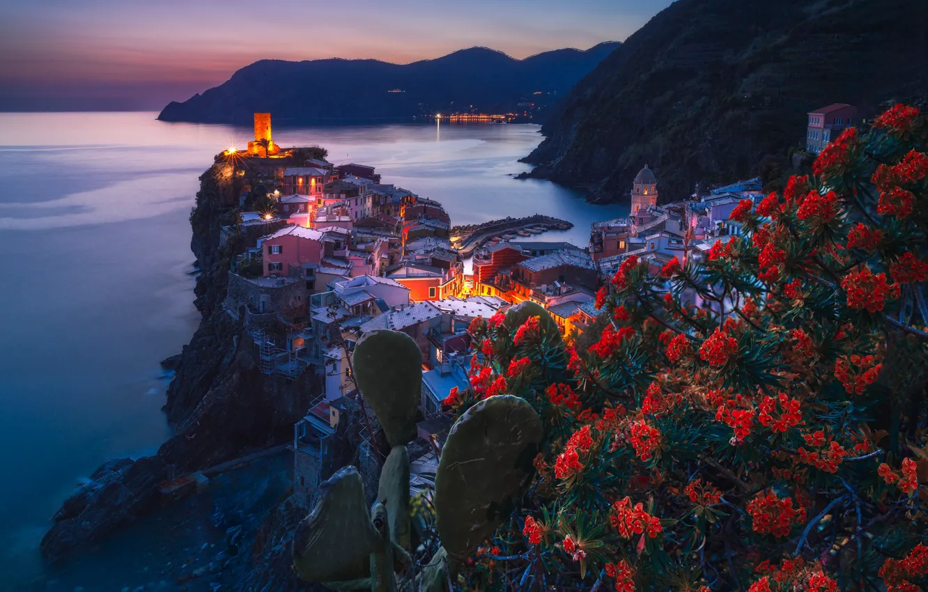 Photo wallpaper sea, flowers, mountains, night, the city, lights, shore, building
