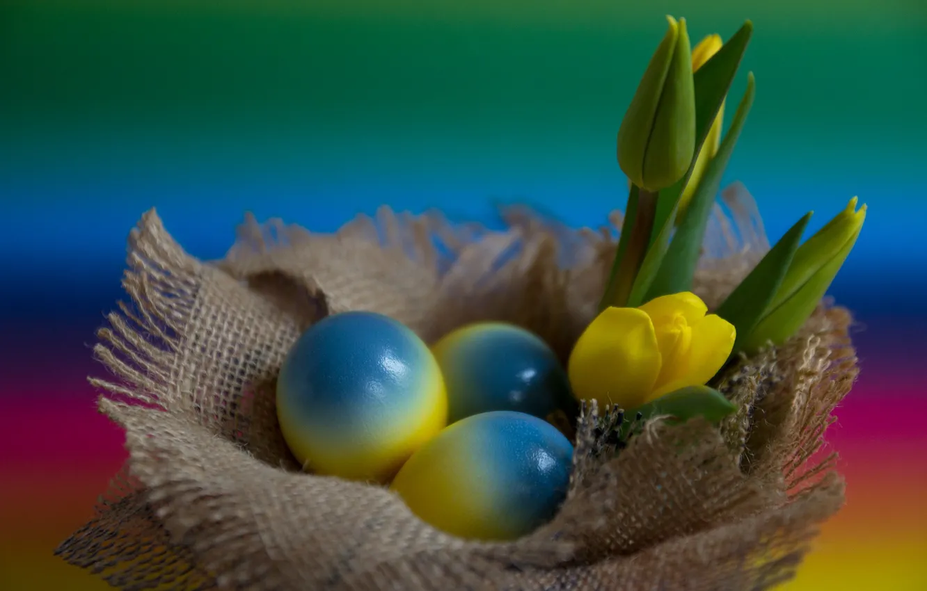Photo wallpaper Flowers, Tulips, Easter, Eggs, Holiday