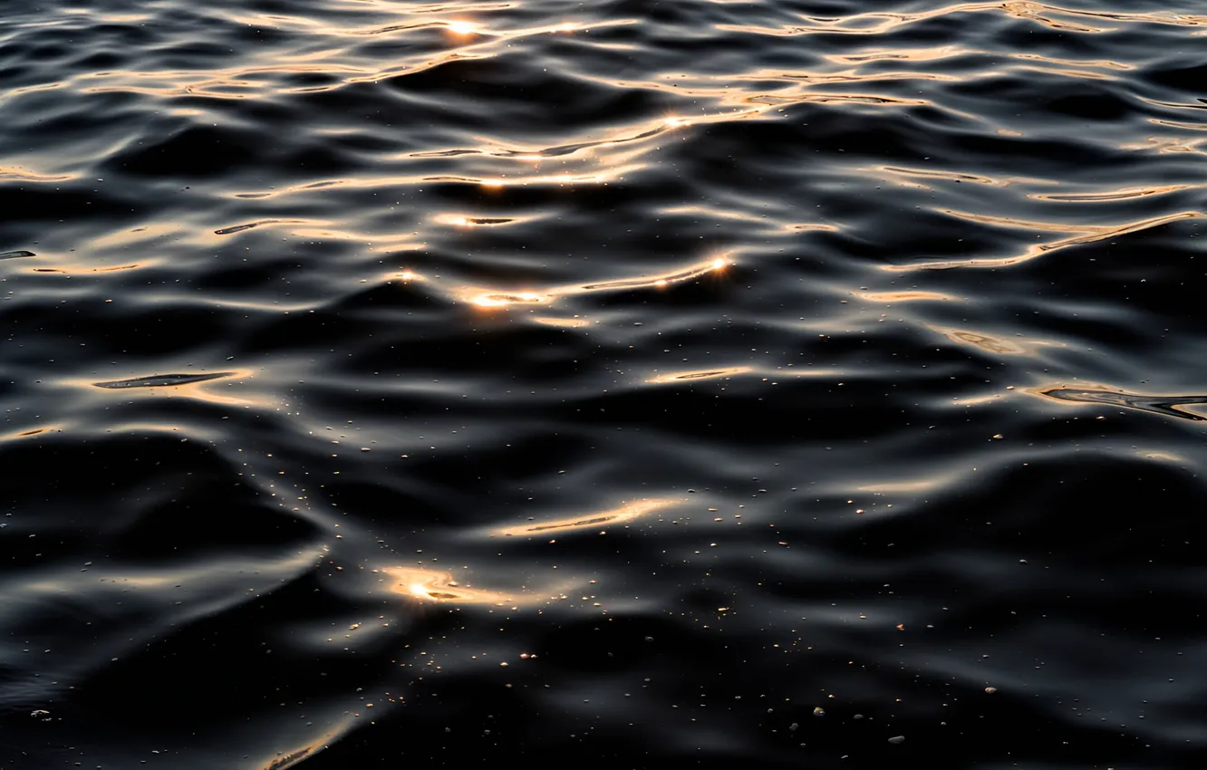 Photo wallpaper sea, wave, ruffle, twilight