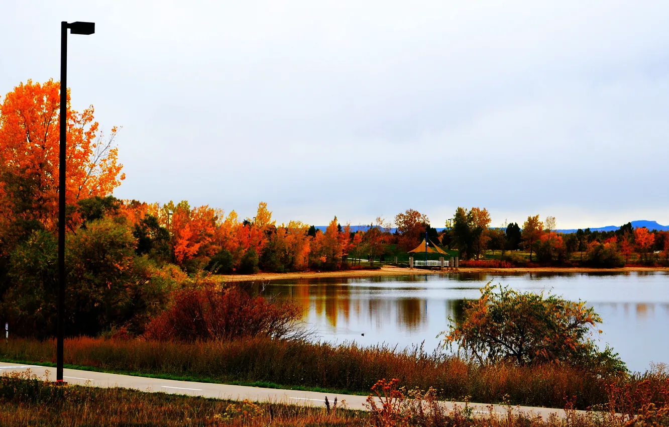 Photo wallpaper road, autumn, nature, lake, colors, gazebo, road, nature