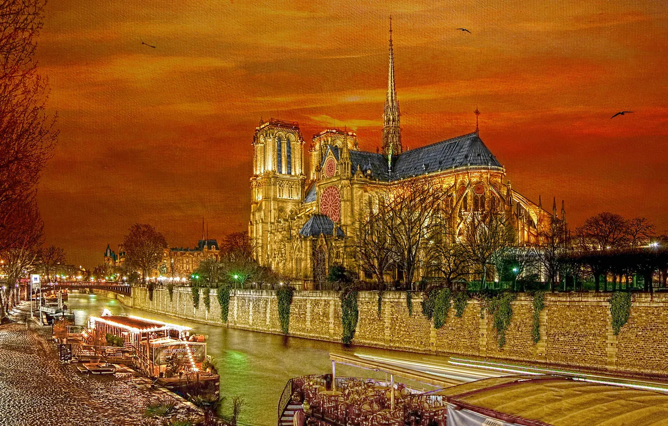 Photo wallpaper the sky, lights, river, bird, France, Paris, the evening, hay