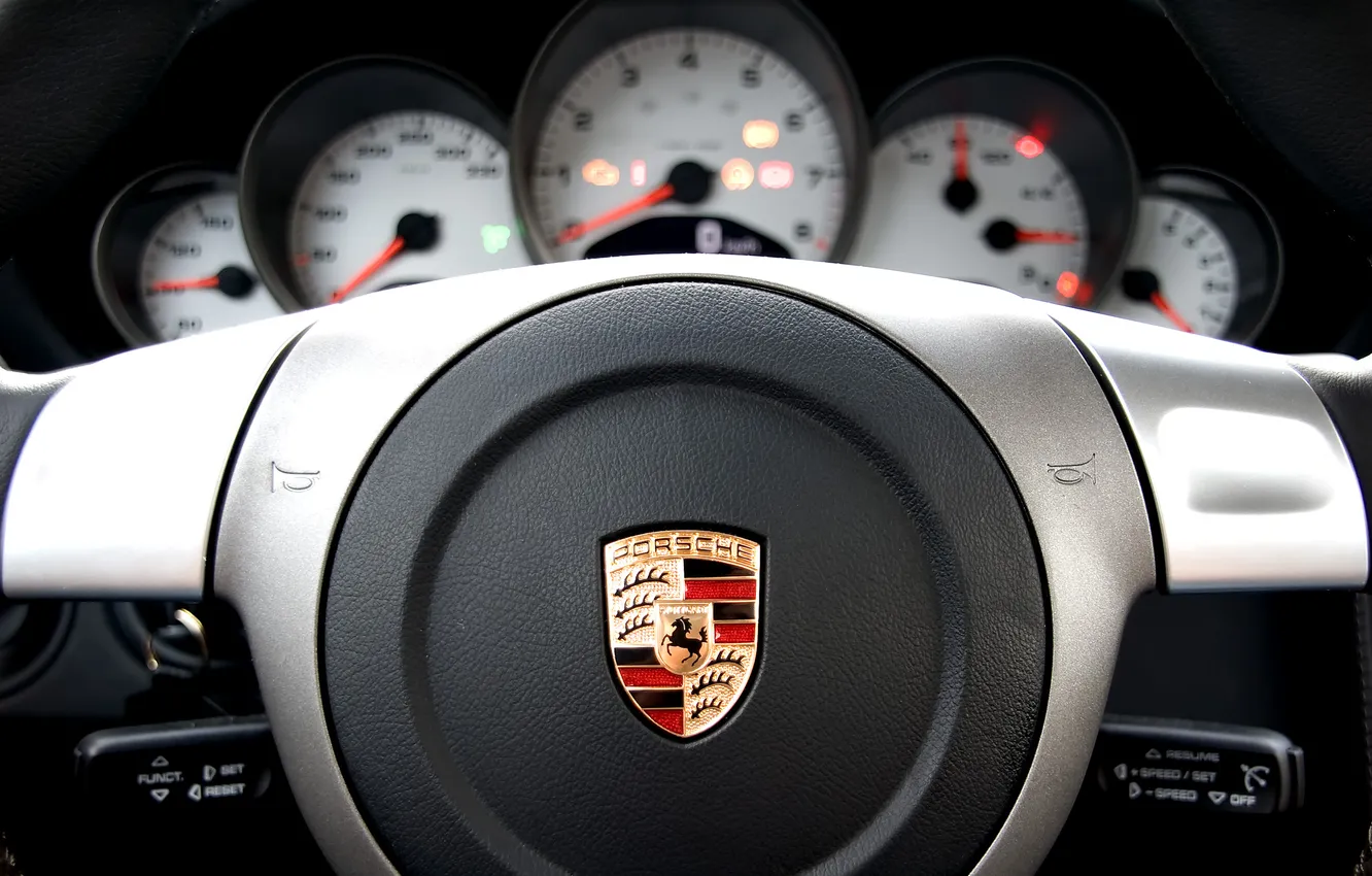 Photo wallpaper panel, logo, Porsche, the wheel, salon, horn