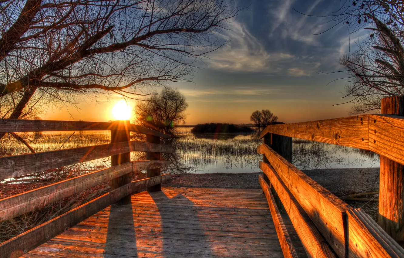 Photo wallpaper the sun, sunset, branches, lake, CA, reed, USA, Merced National Wildlife Refuge