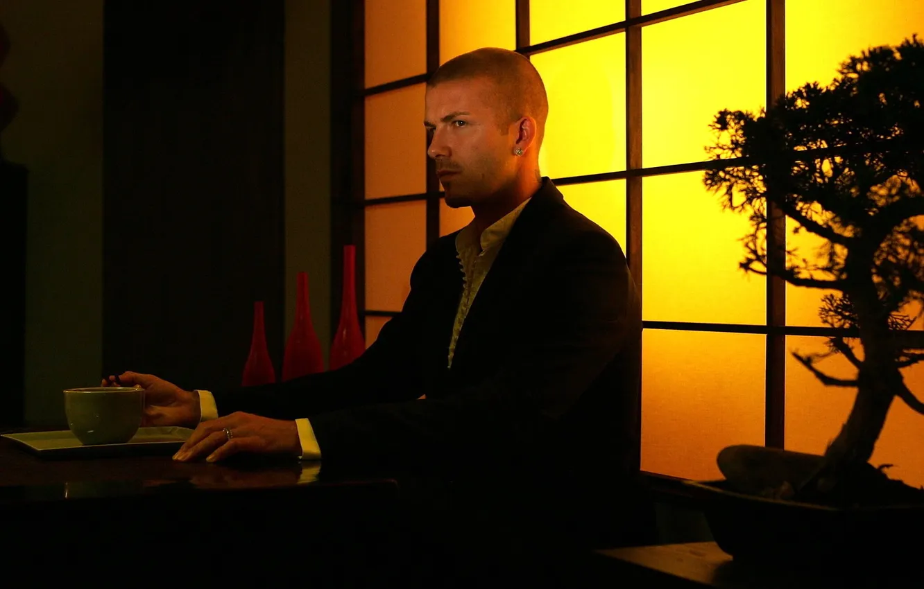 Photo wallpaper sunset, bonsai, player, David Beckham, a small tree