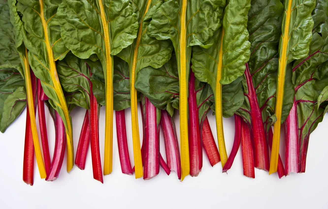 Photo wallpaper background, Homegrown chard, veggie patch