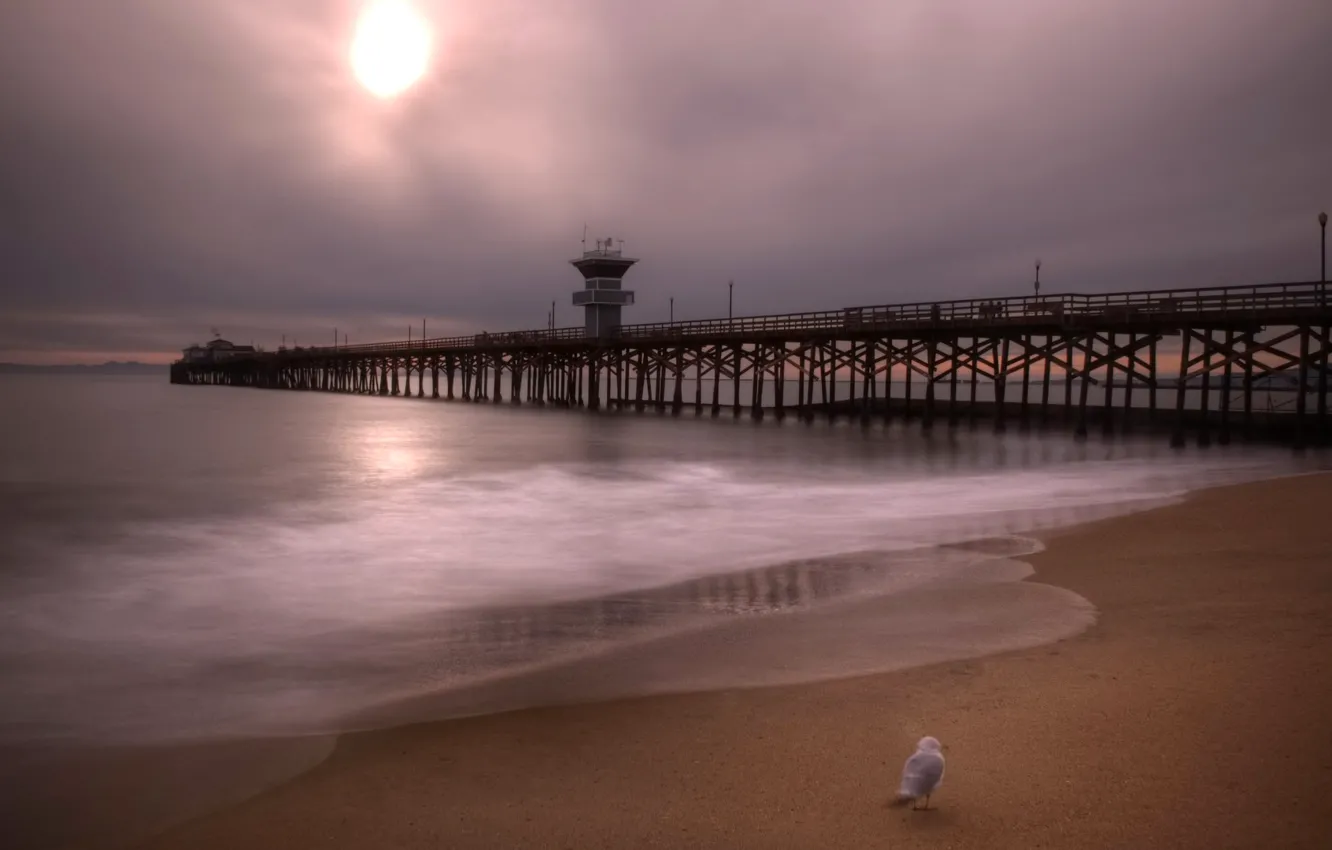 Photo wallpaper sea, the sky, clouds, bird, hdr, pierce, USA, California