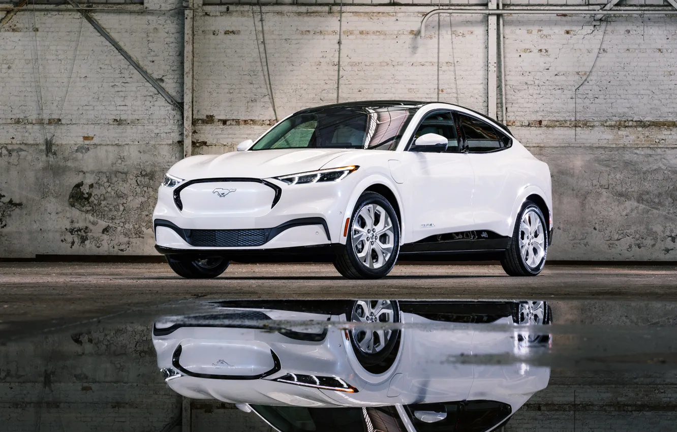 Photo wallpaper white, reflection, Mustang, Ford, white, 2022, Mustang Mach-E