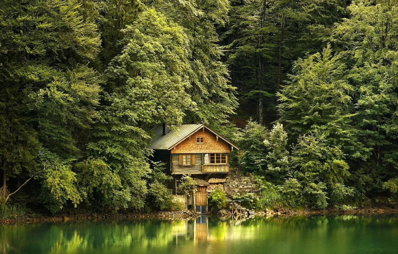 Photo wallpaper forest, trees, landscape, nature, lake, plant, home, hut