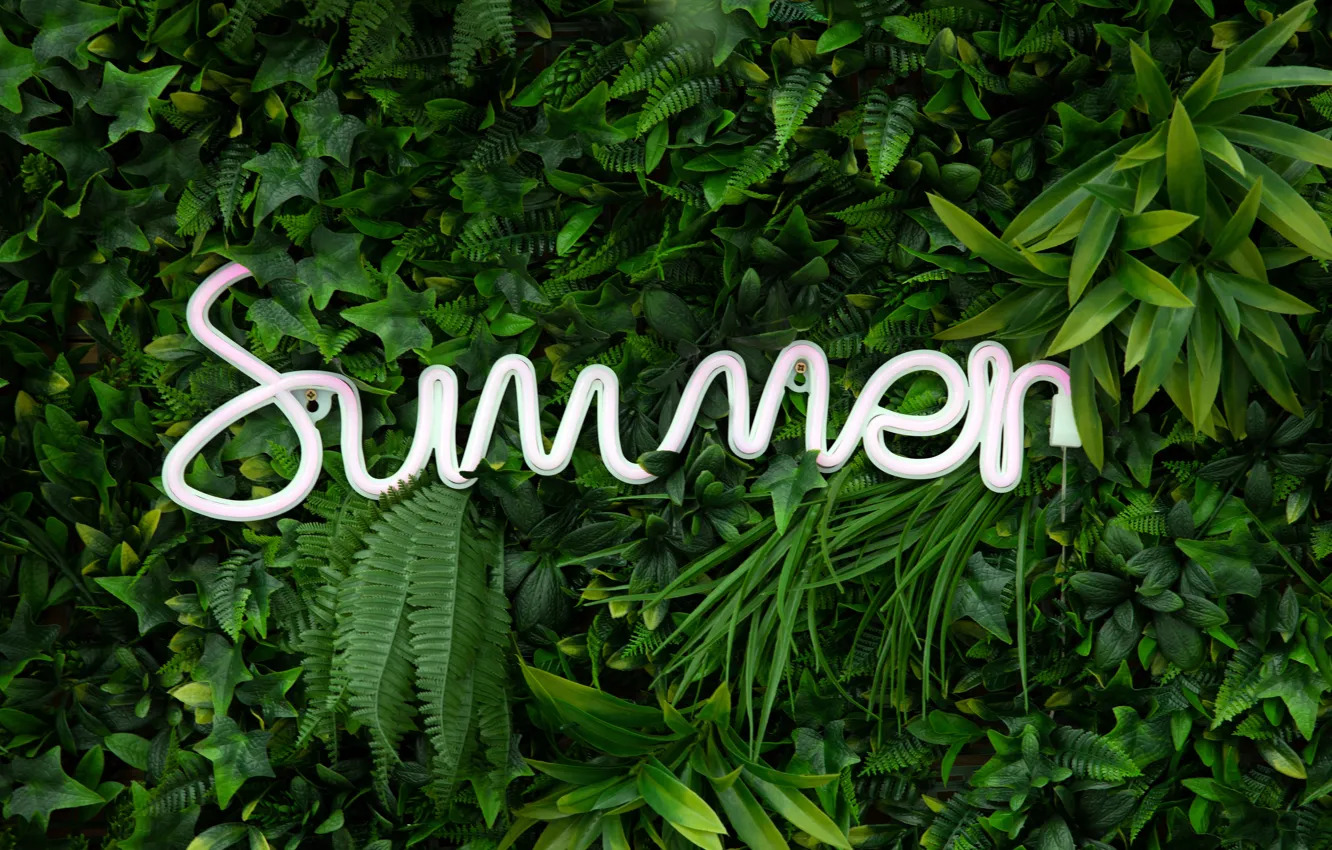 Photo wallpaper summer, nature, plants, Ferns, neon sign, Green aesthetic