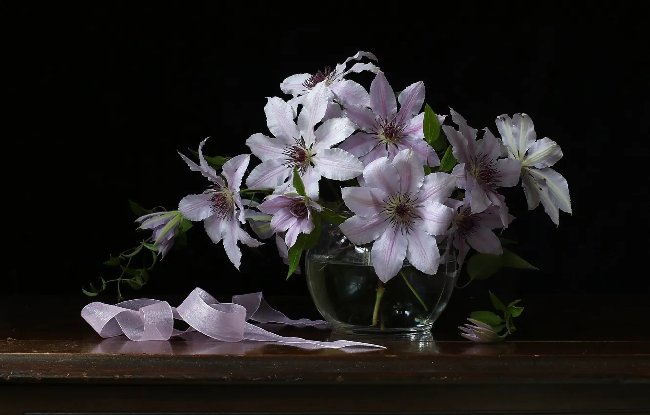 Photo wallpaper flowers, still life, clematis