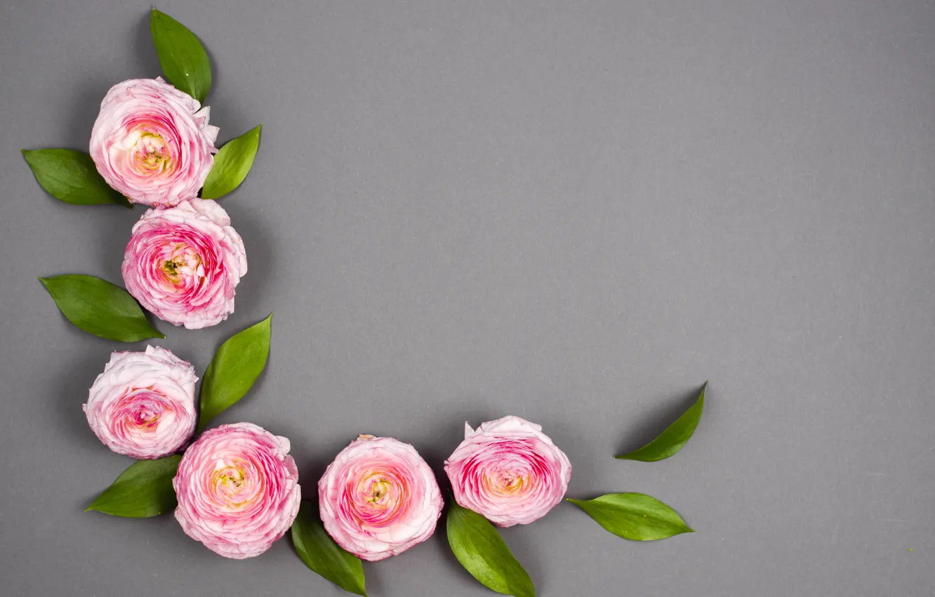 Photo wallpaper flowers, pink, pink, flowers, decor