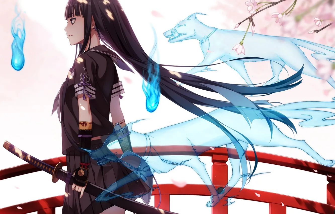Photo wallpaper girl, flowers, weapons, dog, katana, anime, Sakura, art