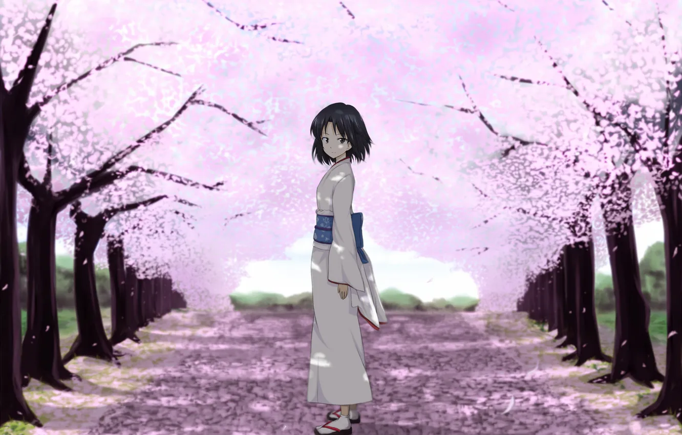 Photo wallpaper road, look, girl, Sakura, kimono, the radiance of cherry blossoms