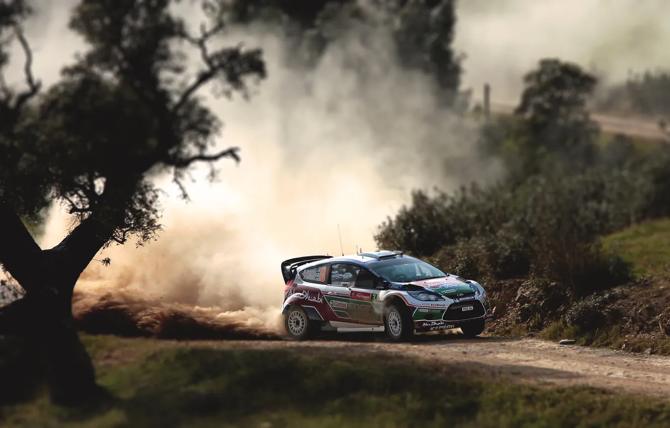 Photo wallpaper machine, race, sport, speed, Ford, dust, day, WRC