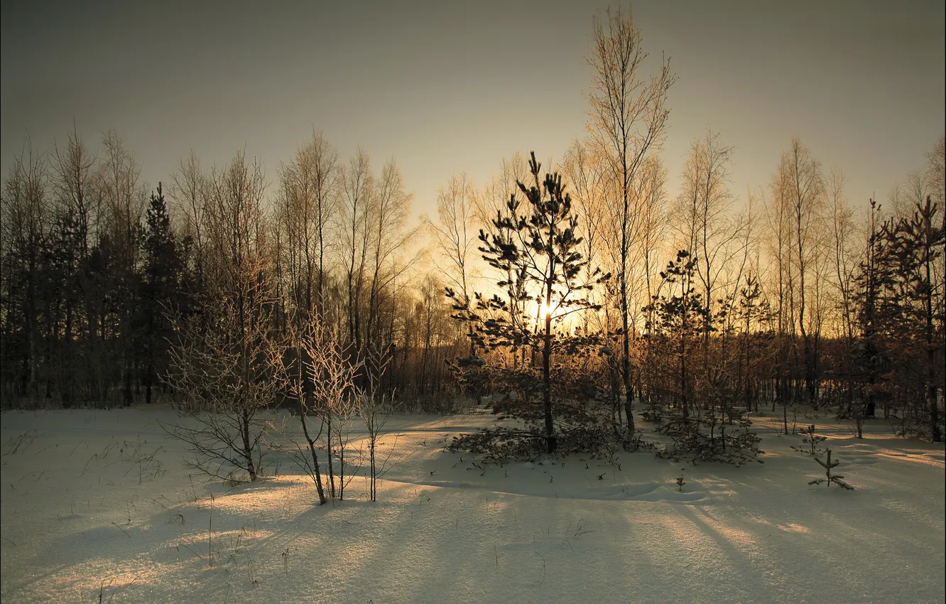 Photo wallpaper winter, snow, landscape, sunset, the evening, twilight