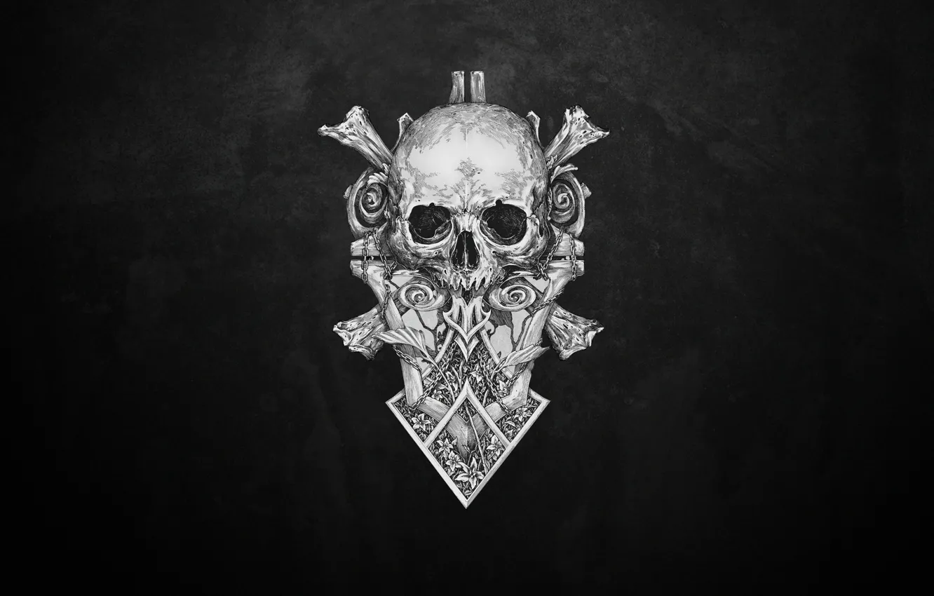 Photo wallpaper skull, minimalism, art, bones, sake, bones, Illustration, Black and white
