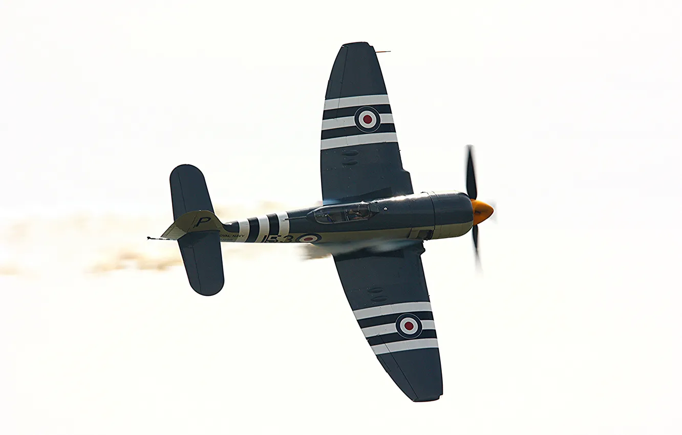 Photo wallpaper the plane, smoke, fighter, show, Hawker Sea Fury