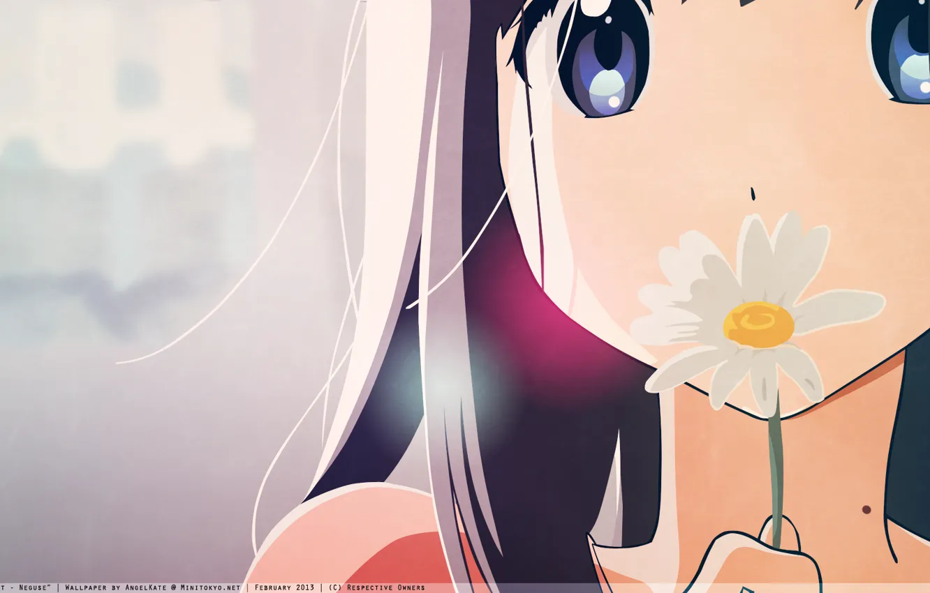 Photo wallpaper flower, girl, Daisy, blue eyes, long hair, black hair, kitashirakawa tamago, tamako market