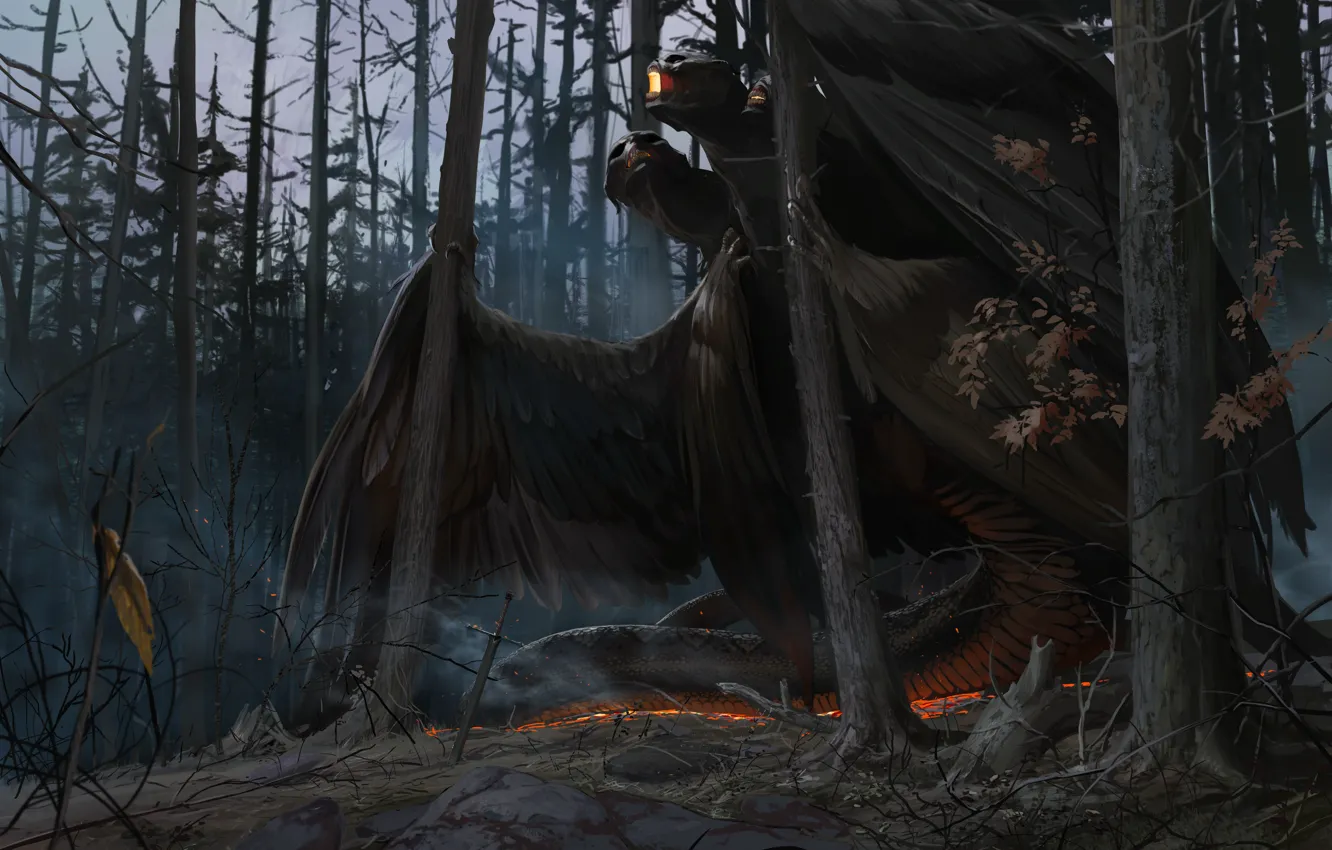 Photo wallpaper dragon, sword, being, Forest